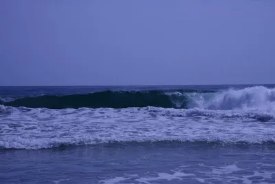 DSC_2188 (Large).JPG